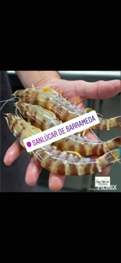 Piso De Dos Dormitorios En El Centro De Sanlúcar de Barrameda Dış mekan fotoğraf